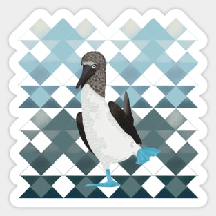 Booby Bird on Geometric Pattern Sticker